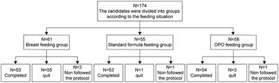 Stool Saponified Fatty Acid, Behavior, Growth, and Stool Characteristics in Infants Fed a High-OPO Formula: A Randomized, Double-Blind Clinical Trial